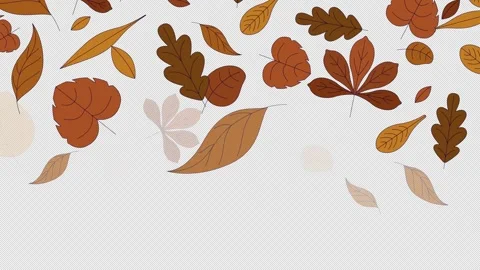 Autumn leaves falling down top border video overlay Stock Footage 333110327