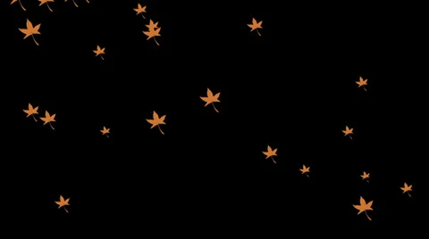 Autumn Leaves Falling Stock Footage 31909007