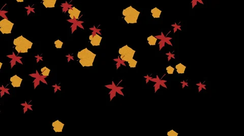 Autumn Leaves Falling Vídeos de archivo 31909111