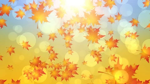 Autumn Leaves Falling Stock Footage 92337070