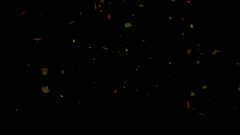 Autumn leaves falling. Stock Footage 147987528