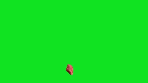 Autumn leaves falling on a green screen background for easy compositing Stock Footage 345471051