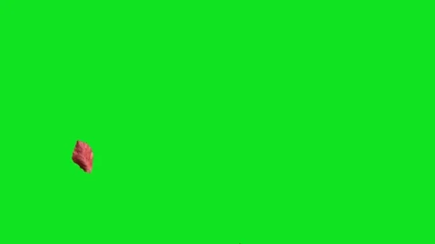 Autumn leaves falling on a green screen background for easy compositing Stock Footage 345471054