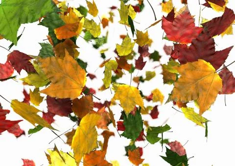 Autumn leaves falling Stock Illustration