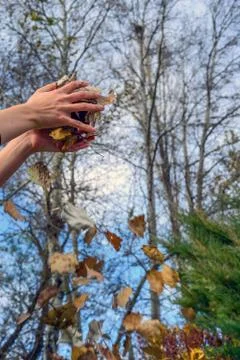 Autumn leaves falling inside the hand view from down 库存照片