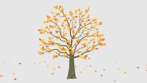 Autumn leaves falling from the maple tree Stock Footage 283001847