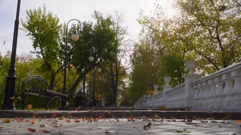 Autumn leaves falling on a paved path in a park Stock Footage 314031885