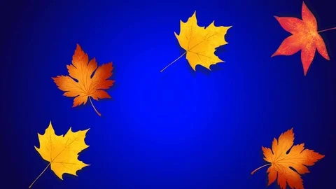 Autumn leaves falling seamless loop every 10 seconds. Stock Footage 124645915