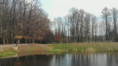 Autumn leaves falling in slow motion and sun shining through fall leaves Vídeos de archivo 126394098