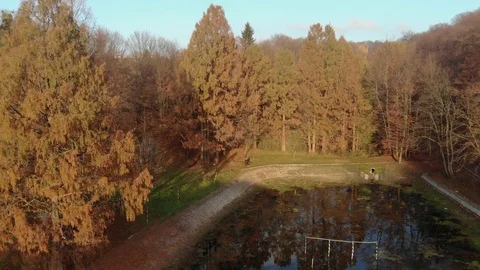 Autumn leaves falling in slow motion and sun shining through fall leaves 動画素材 126396944