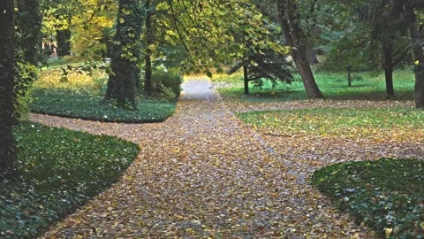 Autumn leaves falling in slow motion on a path in Lazienki Park, Warsaw. Видео 343564391