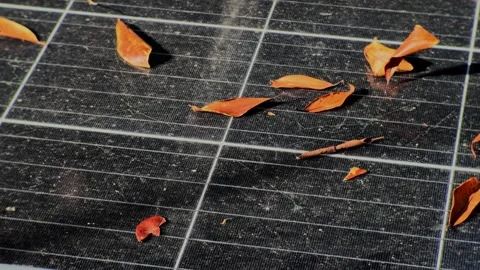 Autumn leaves falling in slow motion onto a rooftop solar panel Видео 344909099