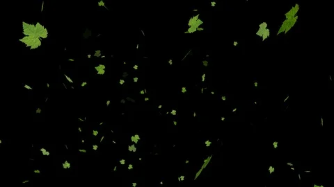 Autumn leaves falling. video project. VJ Seamless loop Stock Footage 104305053