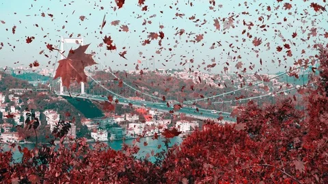 Autumn leaves falling in the wind through the scene. Stock Footage 100680797