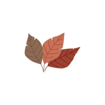Autumn leaves, flat vector illustration isolated on white background. Stock Illustration