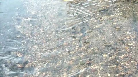 Autumn Leaves Floating Down Stream Video stock 12571017