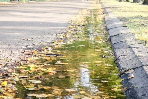 Autumn leaves floating in a gutter puddle along an asphalt park path on a s.. Foto stock