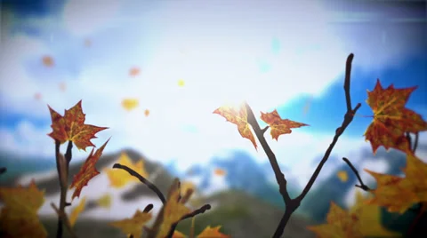 Autumn Leaves. Stock Footage 33846583
