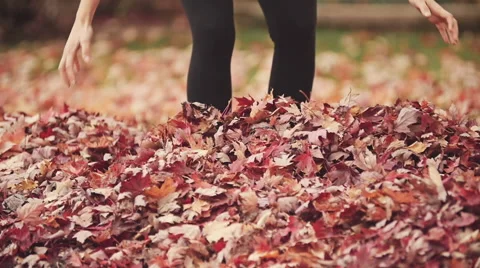 Autumn Leaves Video stock 43114057