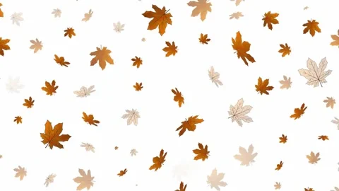 Autumn leaves Stock Footage 136894060