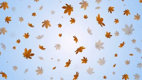 Autumn leaves Stock Footage 136894079