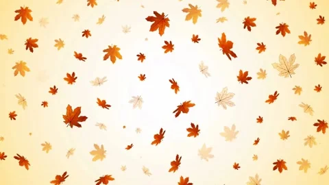 Autumn leaves Stock Footage 136894115