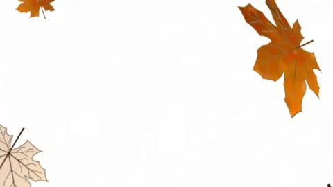 Autumn leaves Stock Footage 136894120
