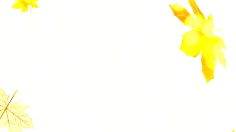 Autumn leaves Stock Footage 136894166