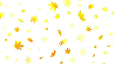 Autumn leaves Stock Footage 136894316