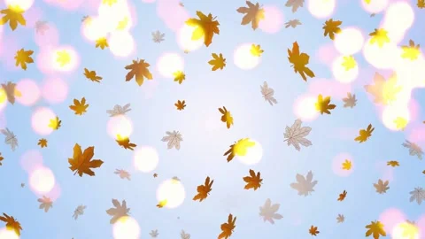 Autumn leaves Stock Footage 136894472