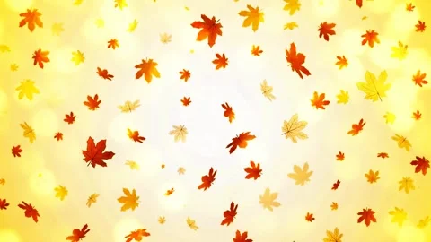 Autumn leaves Stock Footage 136894603