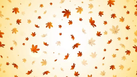 Autumn leaves Stock Footage 136943313