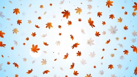 Autumn leaves Stock Footage 136943318