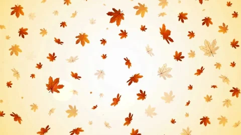 Autumn leaves Stock Footage 136943335
