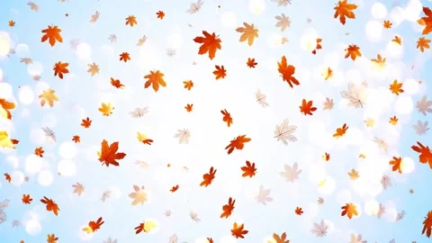 Autumn leaves Stock Footage 136943346