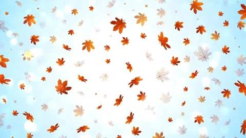 Autumn leaves Stock Footage 136943351