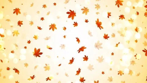 Autumn leaves Stock Footage 136943354