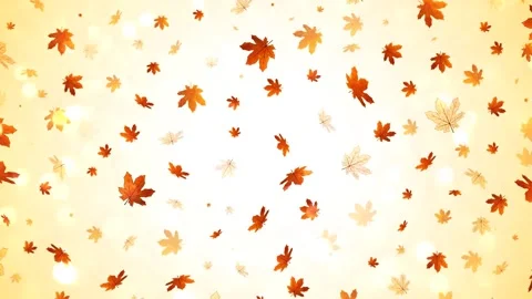 Autumn leaves Stock Footage 136943356