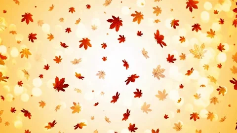 Autumn leaves Stock Footage 136943359