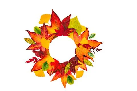 Autumn leaves frame. Fall leaf border, autumnal background. Autumn maple leaves Stock Photos
