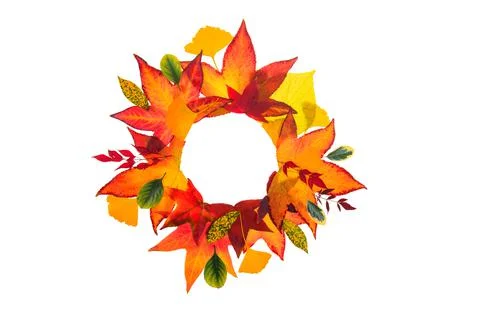 Autumn leaves frame. Fall leaf border, autumnal background. Autumn maple leaves Stock Photos