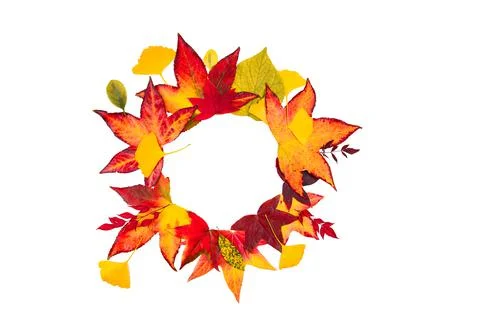 Autumn leaves frame. Fall leaf border, autumnal background. Autumn maple leaves Stock Photos