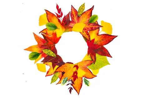 Autumn leaves frame. Fall leaf border, autumnal background. Autumn maple leaves Stock Photos