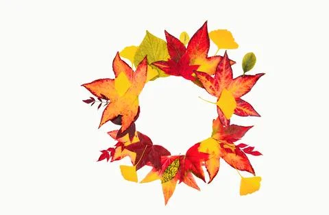 Autumn leaves frame. Fall leaf border, autumnal background. Autumn maple leaves Stock Photos
