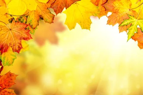 Autumn leaves frame Stock Illustration