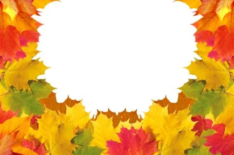 Autumn leaves frame over white for your text Stock Photos