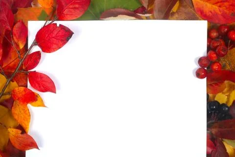Autumn leaves frame Stock Photos