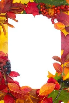 Autumn leaves frame Stock-Fotos