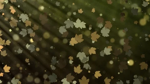 Autumn leaves gently fall through dappled sunlight and shimmering bokeh, warm Stock Footage 341873876