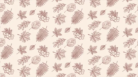 Autumn leaves, hand drawn background of on a seamless loop Stock Footage 248911245